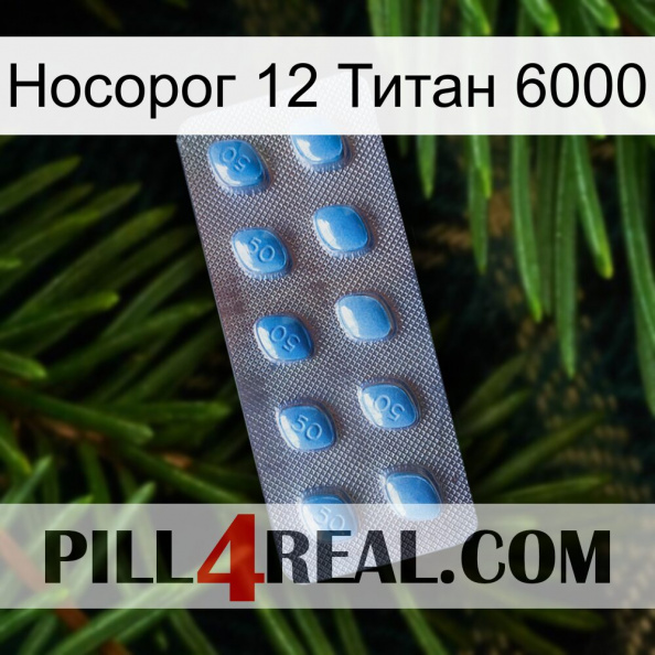 Носорог 12 Титан 6000 viagra3.jpg